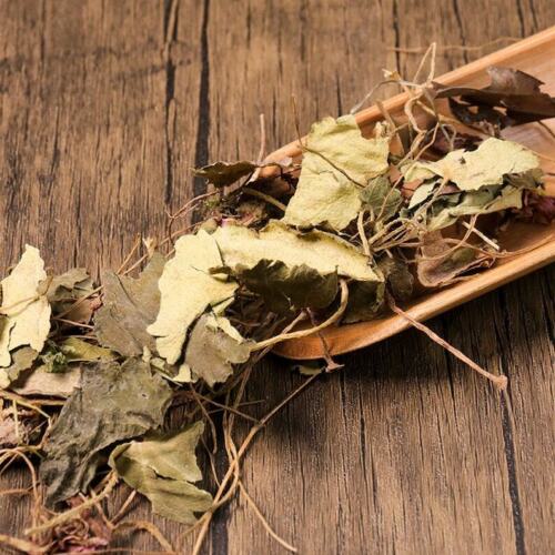 Organic Herbal Saxifraga Stolonifera Herbal Saxifragae Healthy Tea