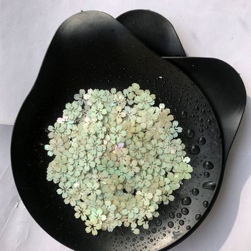 Natural Shells Multiple Mother of Pearl Conch Coquillage Beach Decor Craft 1 Lot