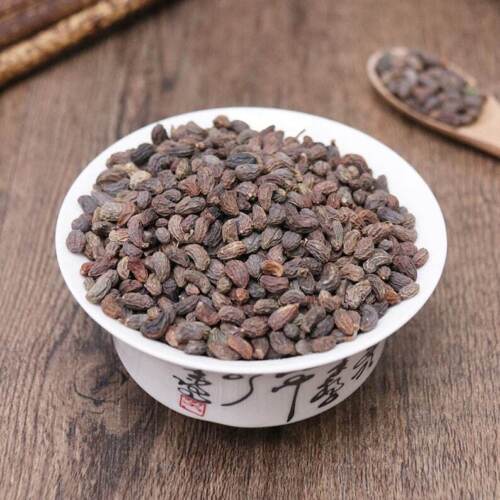 Organic herbal Glossy Privet Fruit Fructus Ligustri Lucidi Great Quality