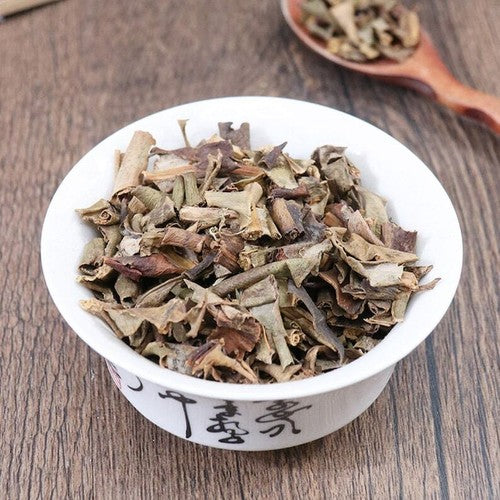 Organic Herbal Pyrrosiae Folium Pyrrosia Lingua Great Quality