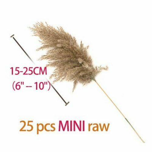 Real Pampas Grass Decor 8/10/20/50 Pcs/Lot Natural Dried Flowers Plants Bouquet