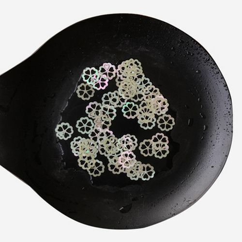 Natural Shells Multiple Mother of Pearl Conch Coquillage Beach Decor Craft 1 Lot