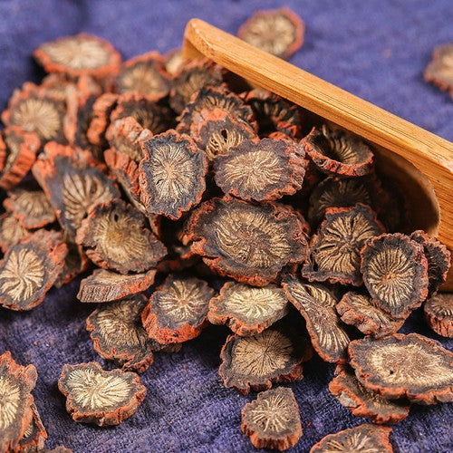 Wild Salvia miltiorrhiza-Salvia miltiorrhiza tablets.Purple Salvia miltiorrhiza