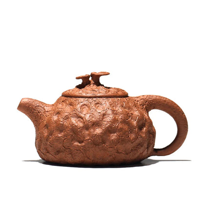 small thin foetus by hand the old section of the mud ganoderma lucidum for spring 105 ml sketch for a pot of spring