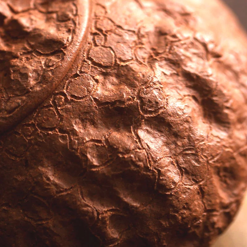 small thin foetus by hand the old section of the mud ganoderma lucidum for spring 105 ml sketch for a pot of spring