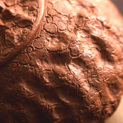 small thin foetus by hand the old section of the mud ganoderma lucidum for spring 105 ml sketch for a pot of spring