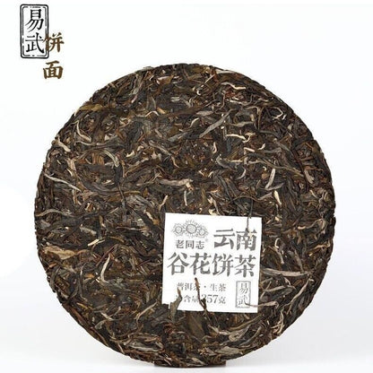 2021 China Haiwan lao tong zhi Yi Wu Gu Hua cha Puer Tea RAW 211 Pu'erh tee,357g