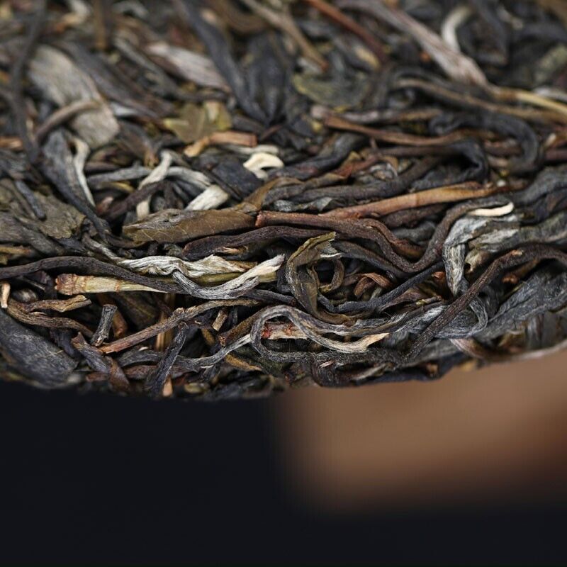 2022 China Haiwan Old Comrade YiWu Puer Tea Ma Hei uncooked Old Tree Pu'erh 500g