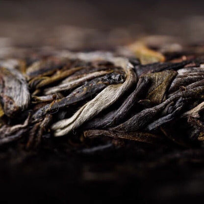 2021 Yunnan Haiwan Lao tong zhi YiWu Puer Tea Ma Hei Famous Old Tree Pu'erh 500g